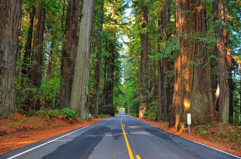 The best day trips from the Monterey Peninsula