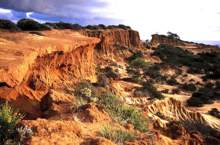 Best hikes on the Monterey Peninsula