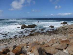 The coast along 17-Mile Drive