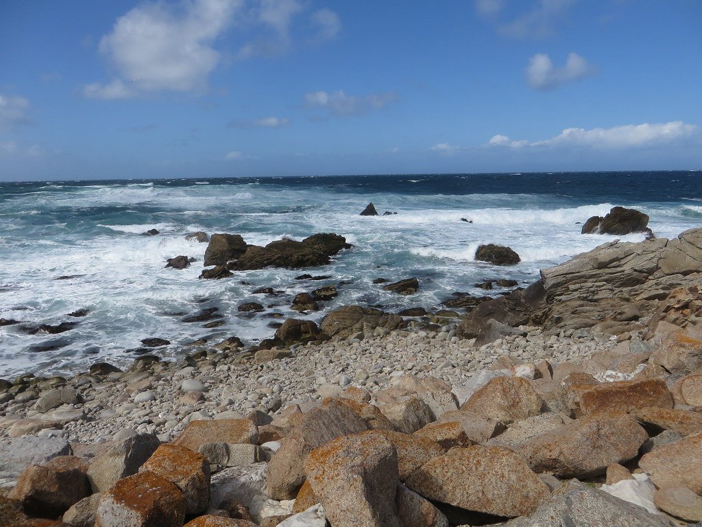 The coast along 17-Mile Drive