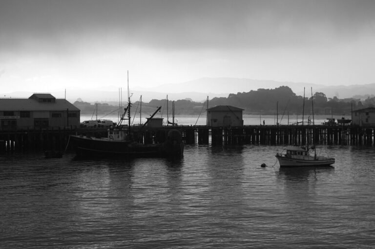 A guide to Monterey’s Fisherman’s Wharf