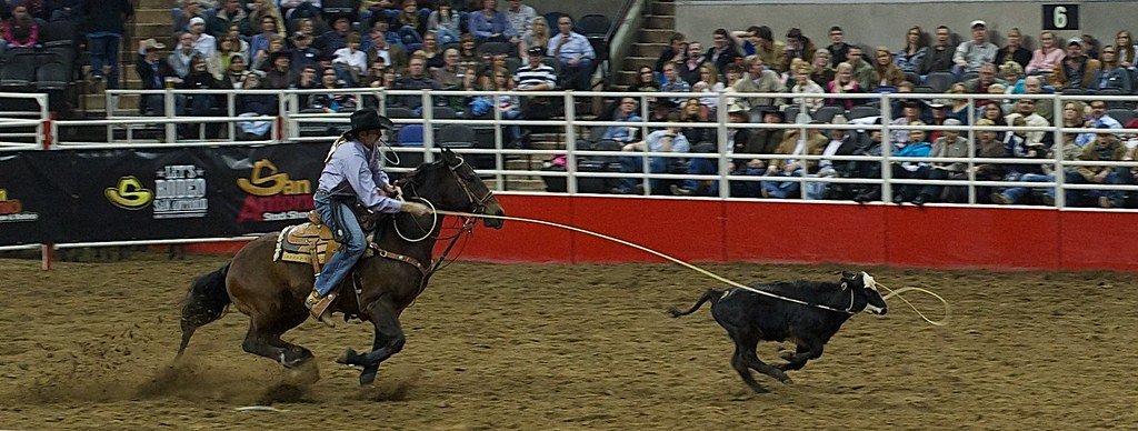 The California Rodeo