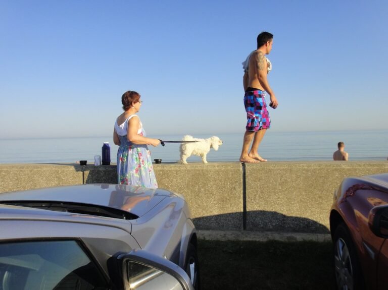 Dog-friendly Monterey Peninsula: where to take your dog
