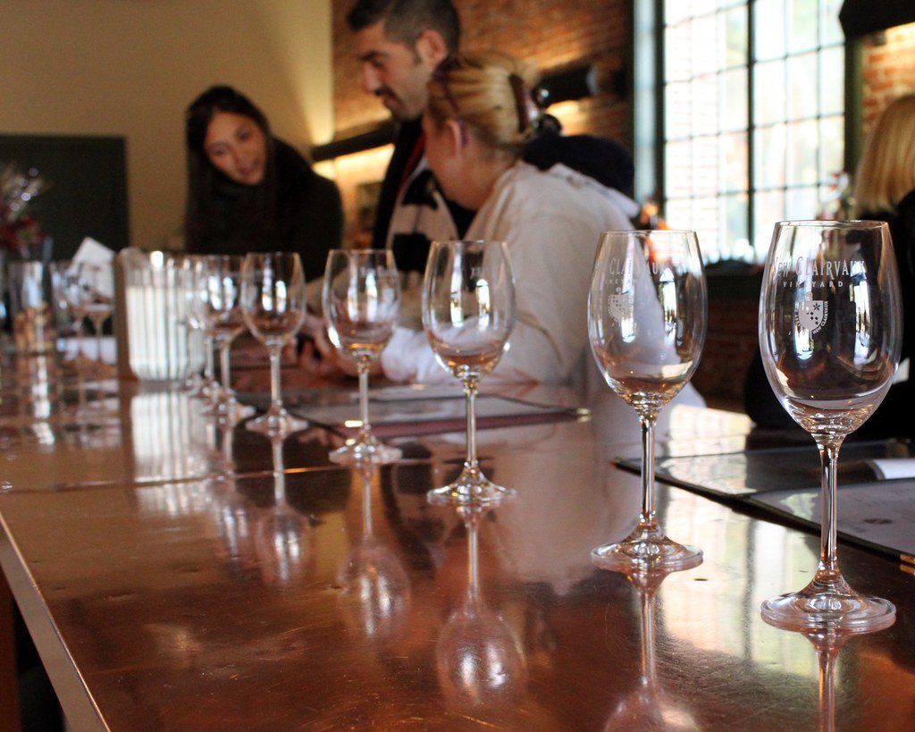 Wine tasting in the vineyards