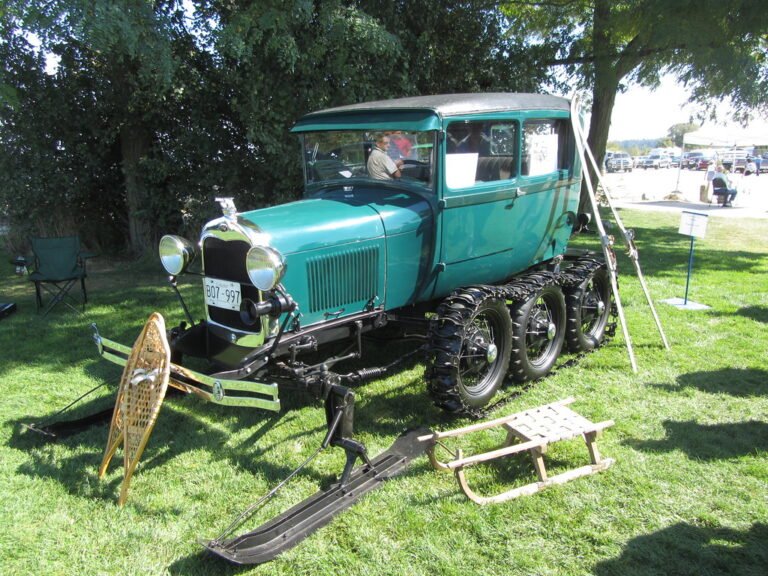 Bonhams Quail Auction