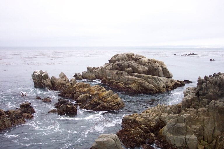 A newcomer guide to the Monterey Peninsula